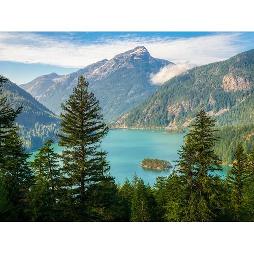Wild, Jamie and Judy 아티스트의 Washington State-Ross Lake National Recreation Area-Diablo Lake작품입니다.
